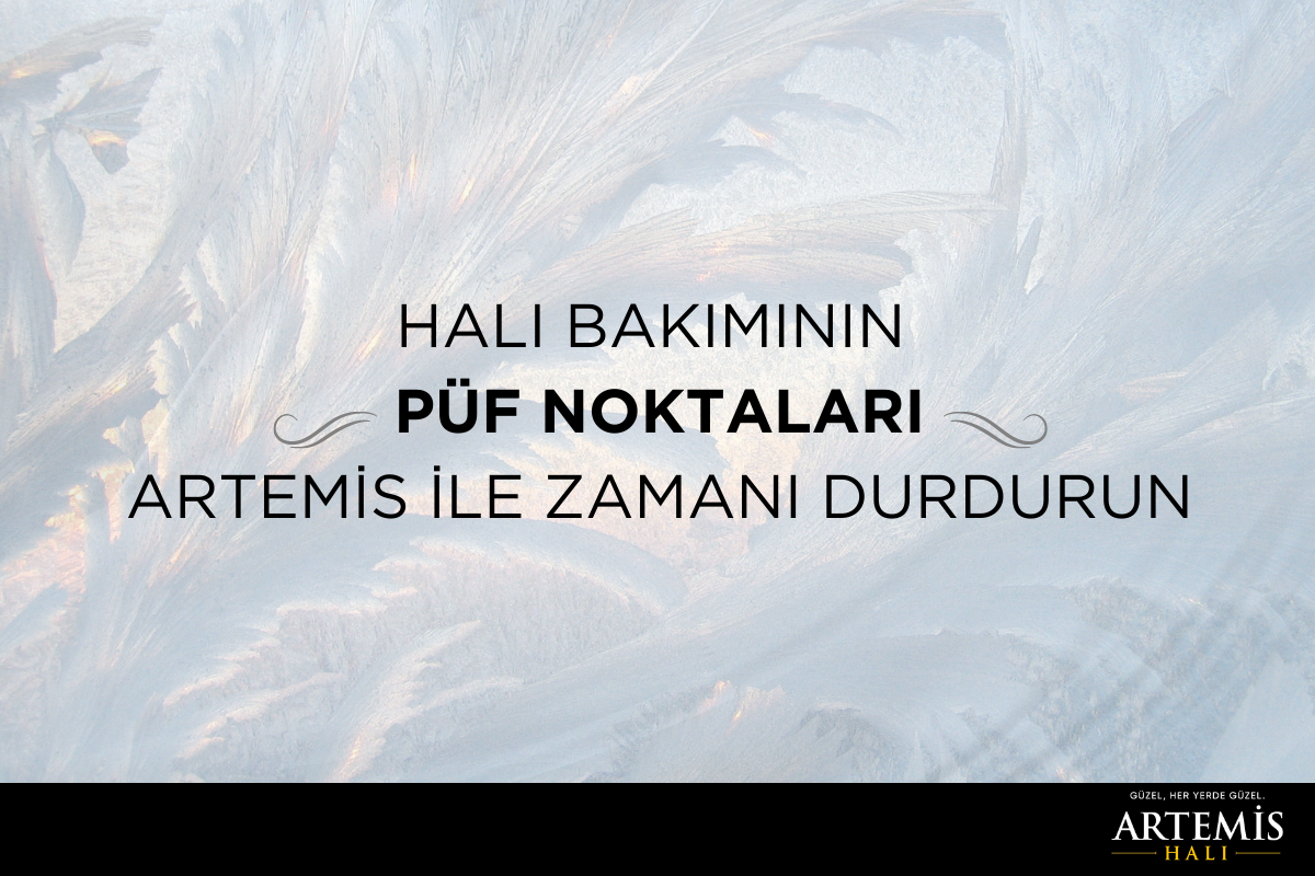 Halı Bakımının Püf Noktaları: Artemis İle Zamanı Durdurun