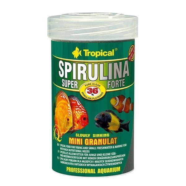 Tropical Spirulina Super Forte Mini Gran 100ml 56 Gram