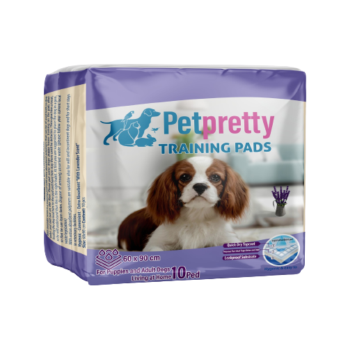 Petpretty Lavantali Çiş Pedi 90X60 Cm 10 Lu