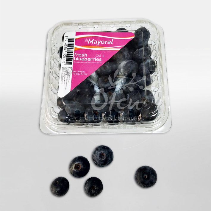 Yaban Mersini Taze 125 g Fresh Blueberries Mayoral