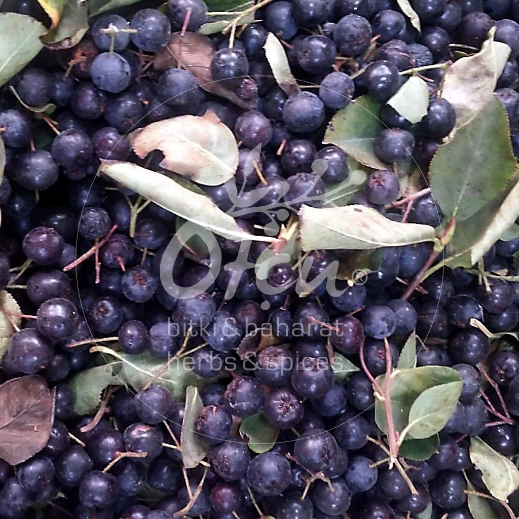 Aronya, Aronia Meyvesi kg