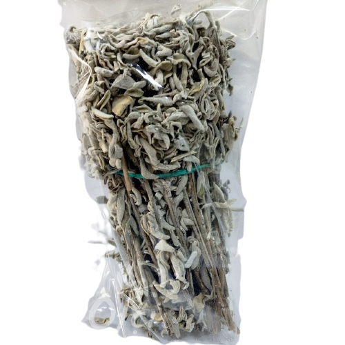 Adaçayı Çalba Salvia