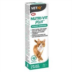 Vetiq Nutri-Vit Plus Kediler Için Enerji Verici Vitamin Macunu 70 Gr
