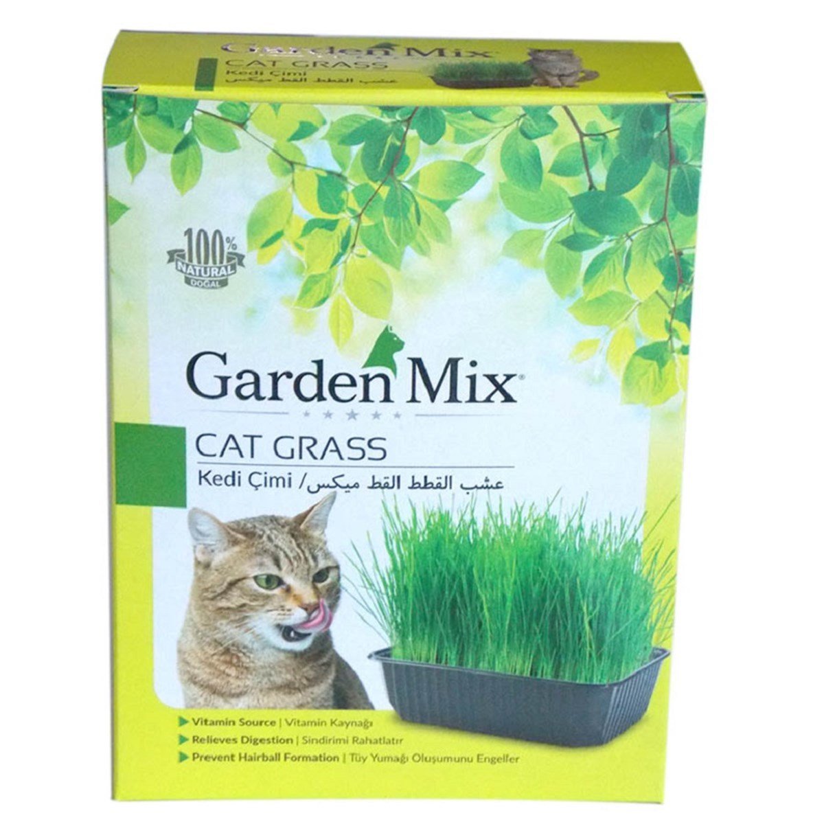 Garden Mix Kedi Çimi