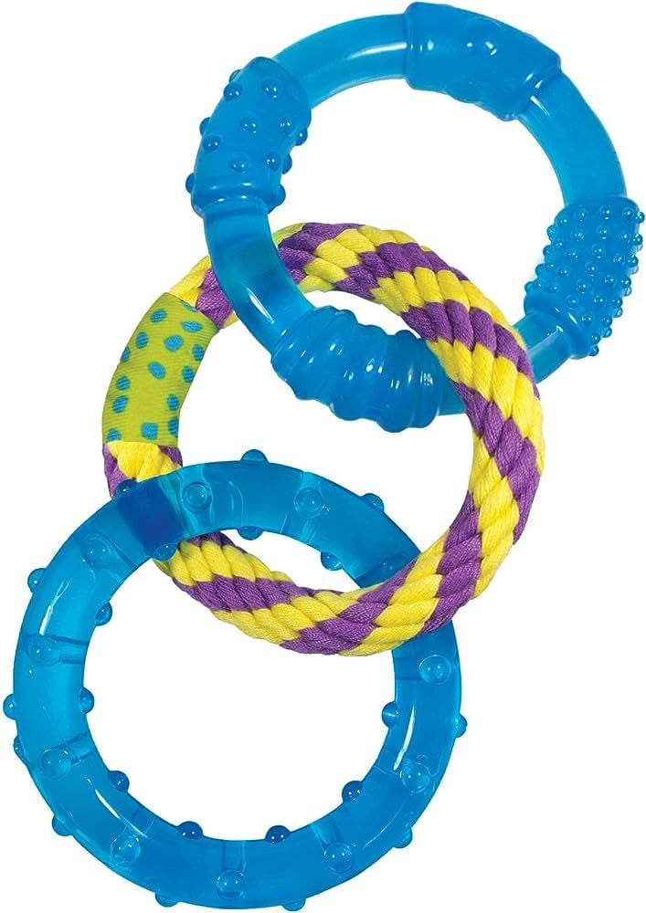 Petstages Orka Dental Links Plastik Halka Ağız Bakımı Köpek Oyuncağı 10,5cm (3'lü) (Mavi/Sarı-Mor)