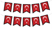Zikzak Banner Türk Bayrak