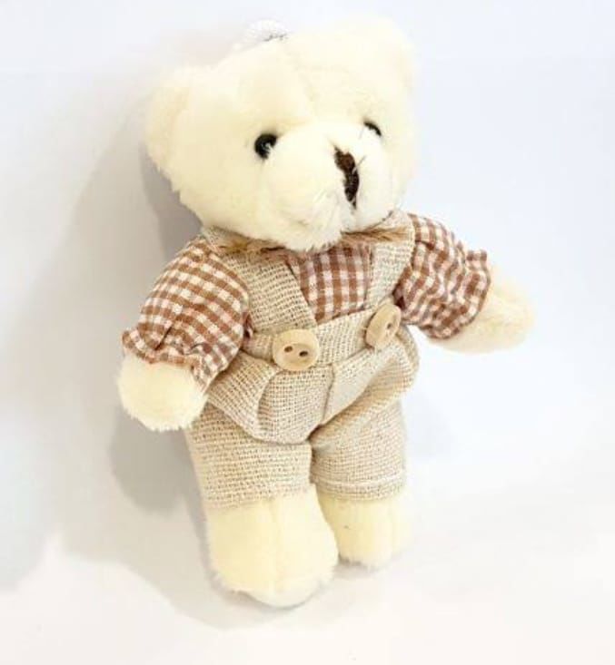 Kıyafetli Erkek Peluş Ayı 10 cm