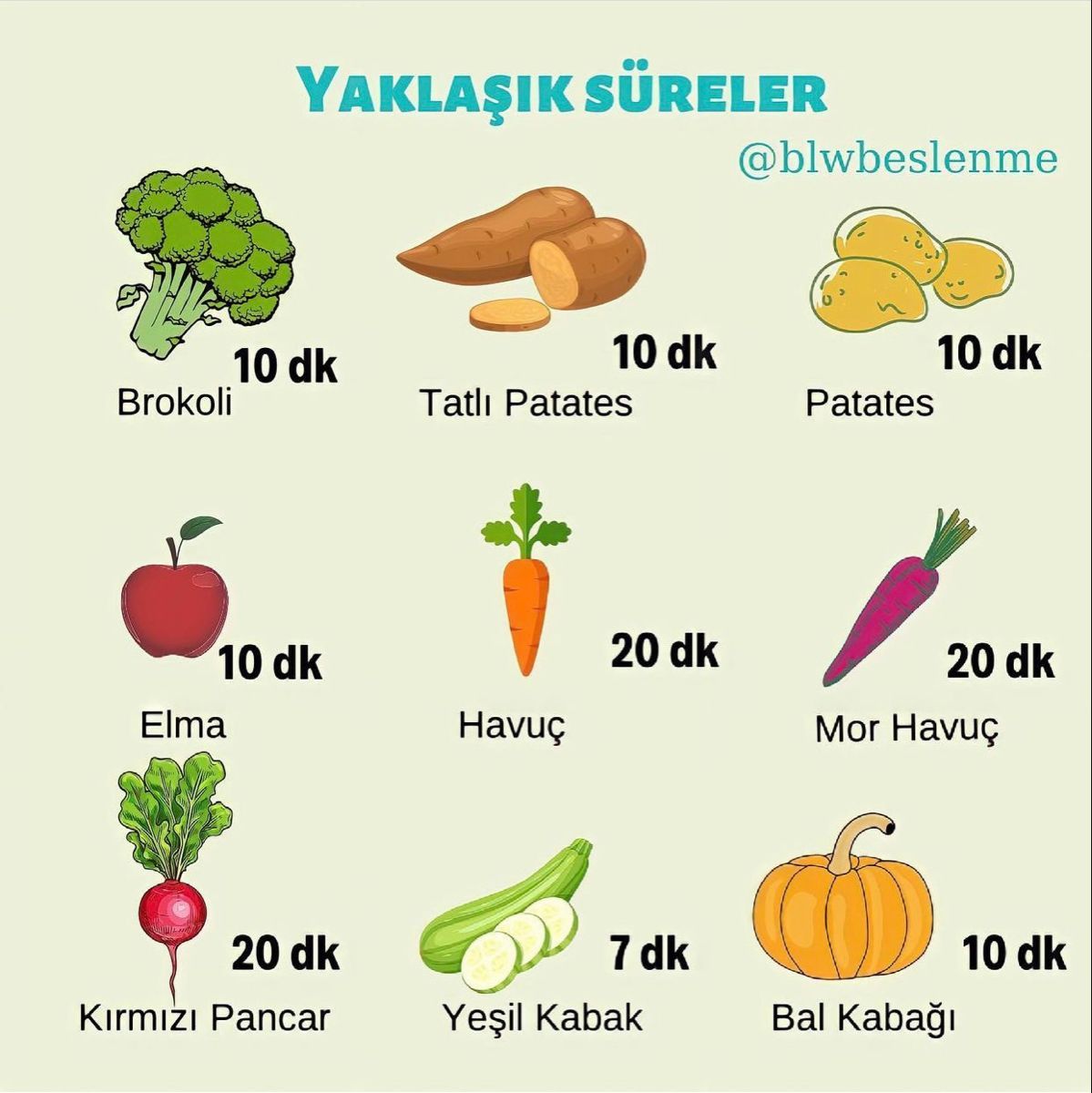 Doğal Vitamin Kaynakları: Bebekler İçin En İyi Sebze ve Meyveler