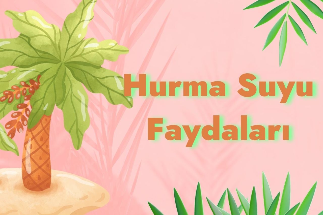 Hurma Suyu Faydaları Nelerdir?