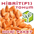 Hibrit(F1) Hobi Paket Tohumlar