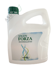 Asgen Forza