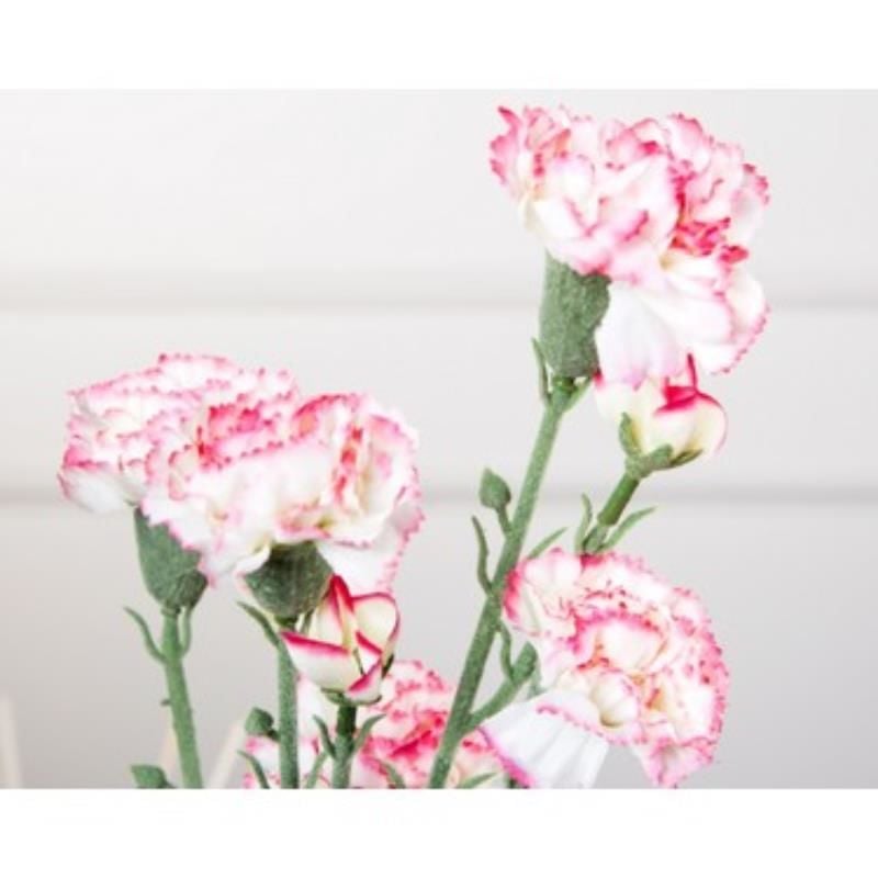 Pembe Beyaz Karanfil Çiçeği 40Cm-60Cm