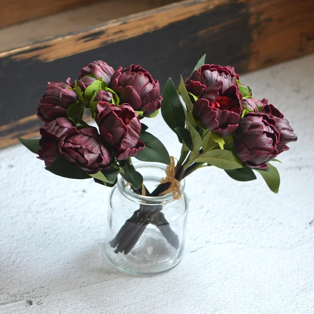Bordo Şakayık Çiçeği Fidanı 40Cm-60Cm