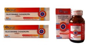 Dnz Glucosamine Chondroitin MSM 90 -Krem 100