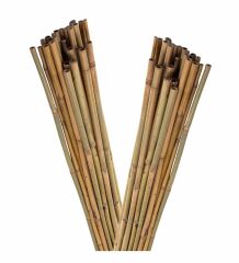 bambu çubuk 10adet 180cm