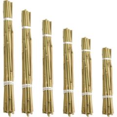 bambu çubuk 10adet 200cm