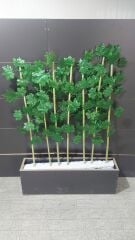 Yapay ÇınarYapraklı Bambu Çubuğu 90cm 7 adet