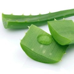 Aloe Vera Yaprak Suyu