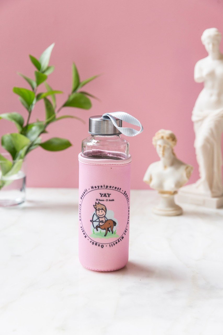 Pembe Yay Burcu Kılıflı Cam Matara 400ml