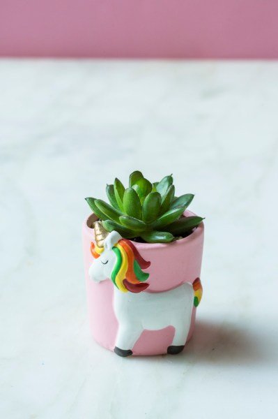 Unicorn Yeşil Sukulent Vazo ( Yapay Çiçek )