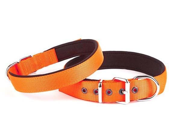 Doggie Comfort Dokuma Köpek Boyun Tasması Medium Turuncu 3x42-50 Cm