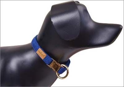 Dubex G-Dog Köpek Boyun Tasması Mavi Xs-S 19-30 Cm 15 Mm