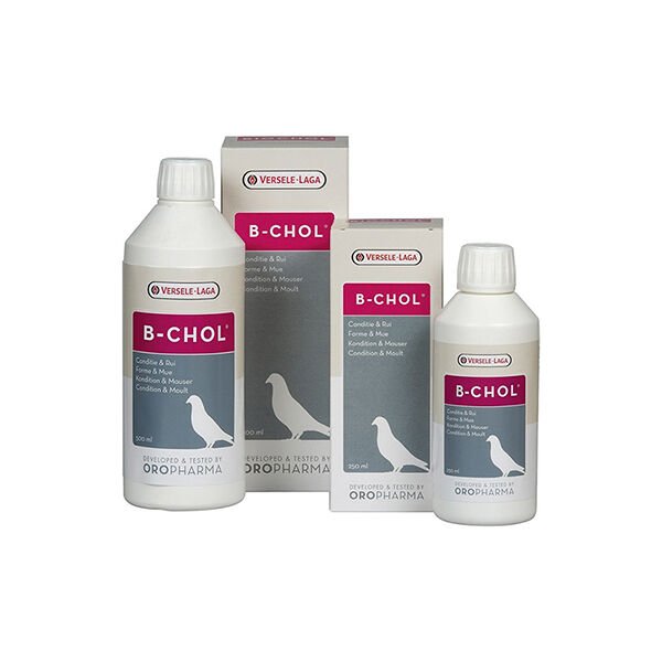 Versele Laga Güvercin Karaciğer Sağlığını Koruma 500 Ml