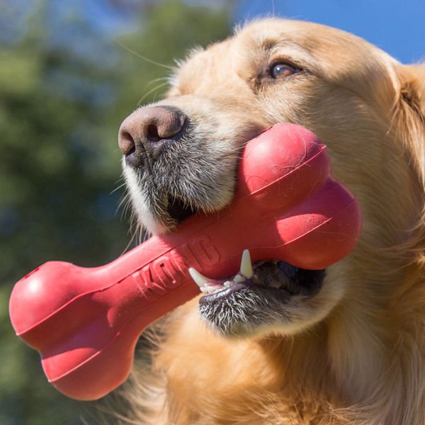 Kong Kırmızı Kauçuk Köpek Kemik Oyuncağı Small 13.5 Cm