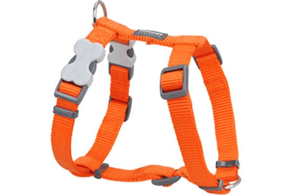 Red Dingo Classic Köpek Göğüs Tasması Turuncu 12 Mm