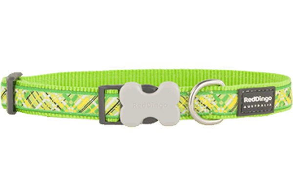Red Dingo Flanno Desenli Köpek Boyun Tasması Lime 25 Mm