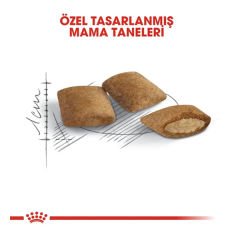 Royal Canin Ageing +12 Yaşlı Kedi Maması 2 Kg