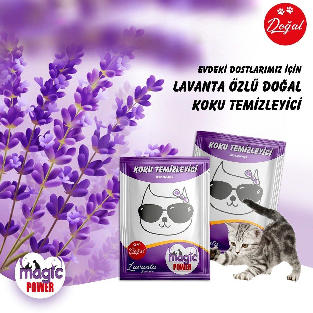 Lepus Magic Power Toz Koku Giderici Lavanta