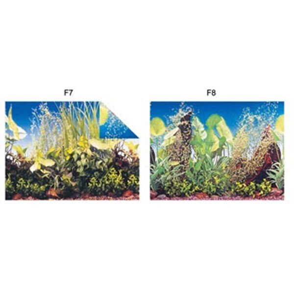 Kw Zone Deniz Görselli Akvaryum Arka Fonu 48 Cm 15 Mt