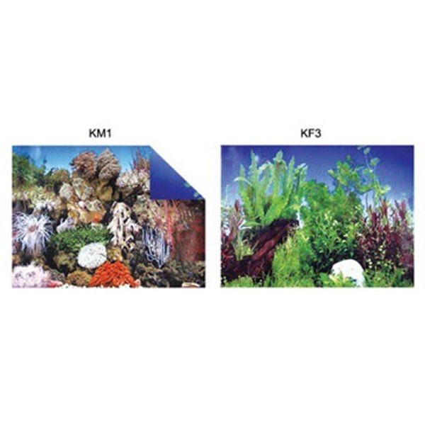 Kw Zone Bitki Görselli İki Yüzlü Akvaryum Arka Fonu 48 Cm 15 Mt