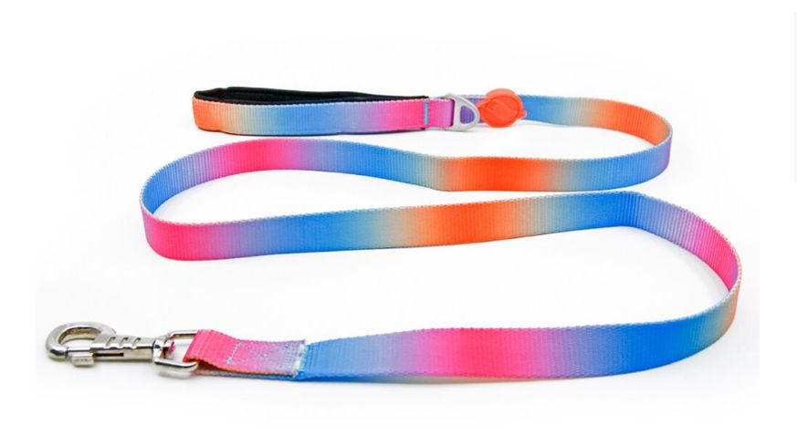Tailpetz Pass Leash Köpek Sevk Kayışı Medium 2x140 Cm