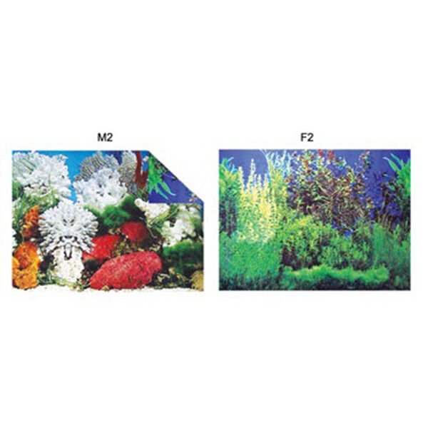 Kw Zone Deniz Görselli İki Yönlü Akvaryum Arka Fonu 48 Cm 15 Mt