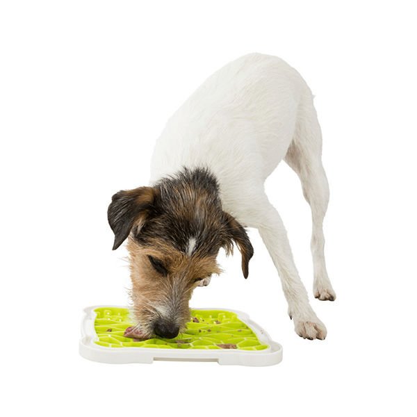 Trixie Plate Köpek Ödül Oyuncağı 20x20 Cm