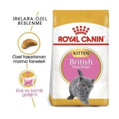 Royal Canin British Shorthair Kitten Yavru Kedi Maması 2 Kg