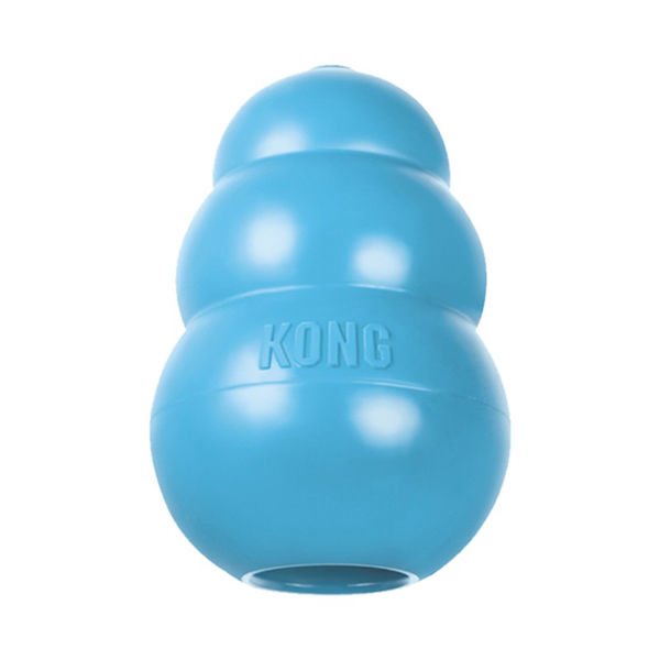 Kong Puppy Yavru Köpek Oyuncağı Medium 9 Cm