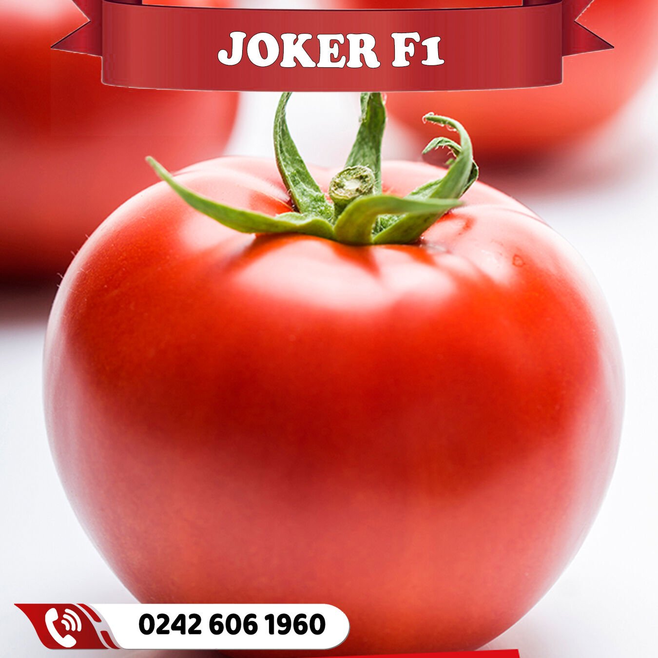 Joker F1 Oturak Domates Fidesi