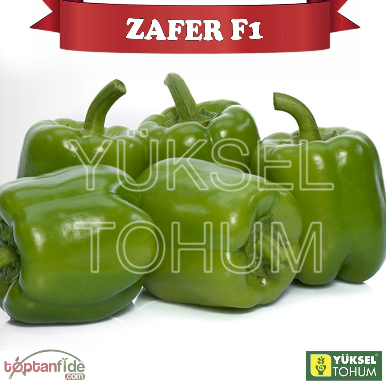 Zafer F1 Dolma Biber Fidesi