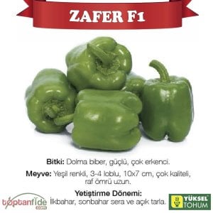 Zafer F1 Dolma Biber Fidesi