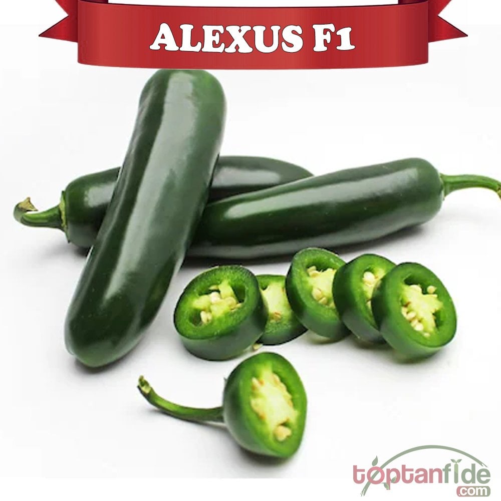 Alexus F1 Jalapone Acı Biber Fidesi