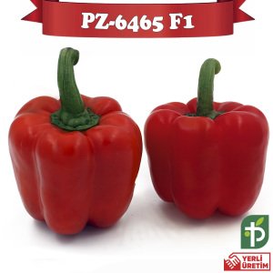 PZ-6465 F1 - Kırmızı Kaliforniya Biber Tohumu