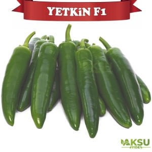 Yetkin F1 Jalapeno Biber Fidesi