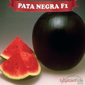 Pata Negra F1 Karpuz Fidesi