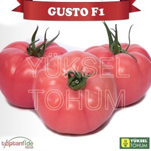 Gusto F1 Domates Tohumu 1000 Adet