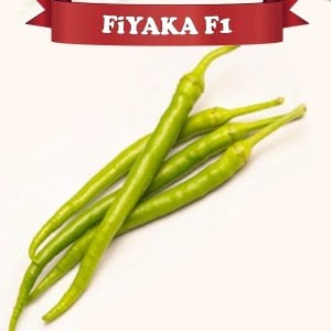 Fiyaka F1 Sivri Biber Fidesi