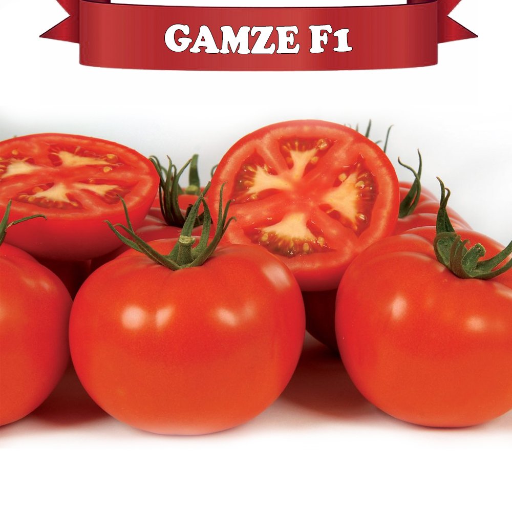 Gamze F1 Domates Fidesi