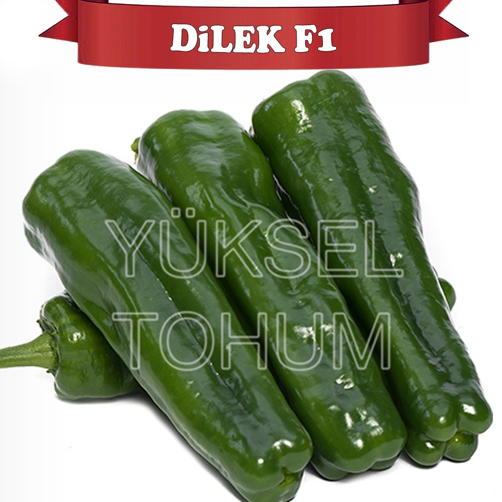 Dilek F1 Üçburun Biber Fidesi